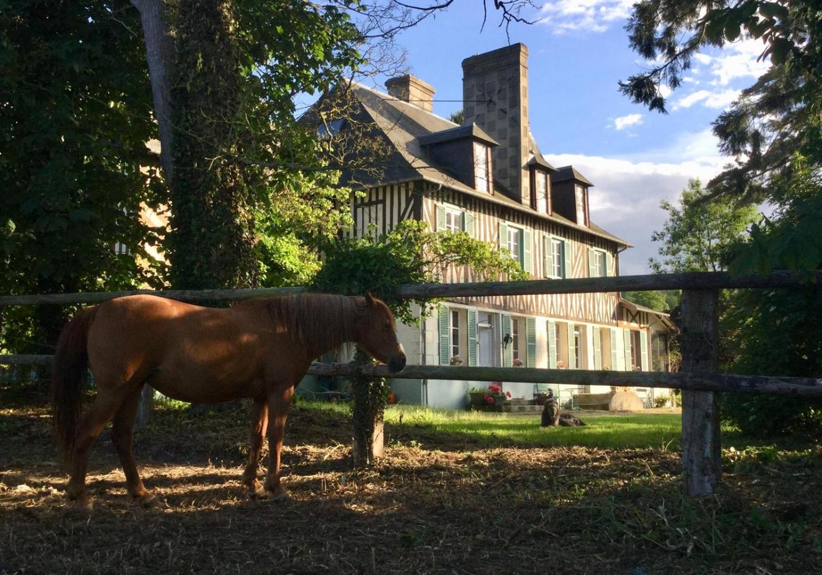 Le Domaine Lieu Bill, Normandie Blonville-sur-Mer Luaran gambar
